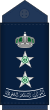 13.RSAF-COL.svg