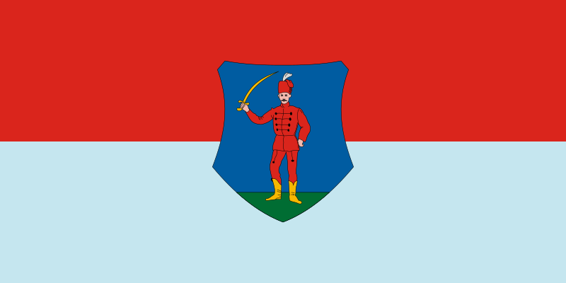 ملف:Flag of Jánosháza.svg