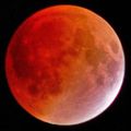 تصغير للنسخة بتاريخ 03:23، 19 فبراير 2019