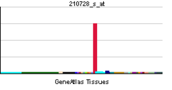 PBB GE CALCA 210728 s at tn.png