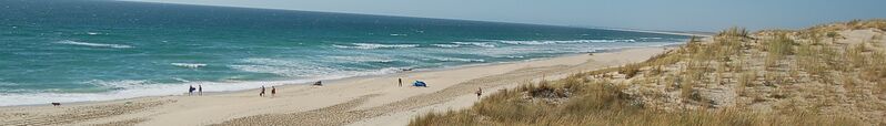 ملف:Plages Landes 2 (cropped).JPG