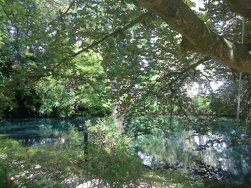 ملف:Roter Kocher.JPG