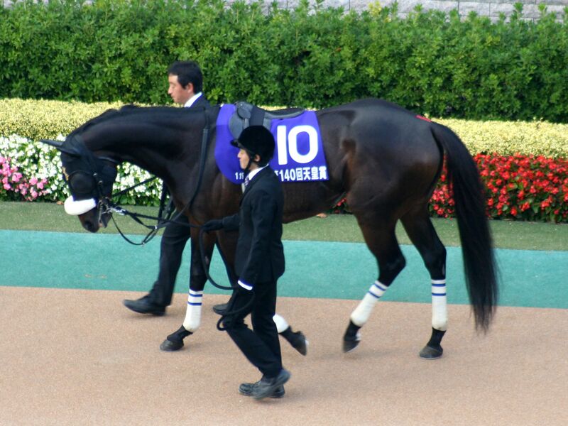 ملف:Shingen 20091101P1.jpg