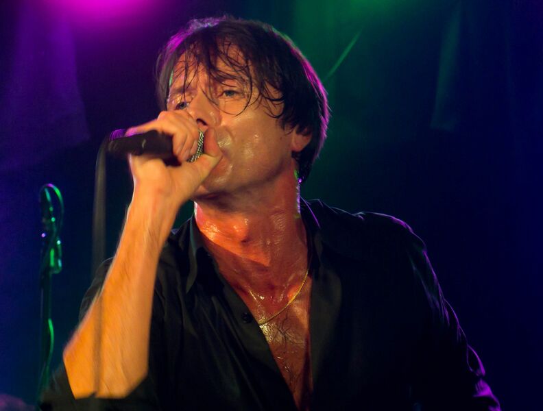 ملف:Brettanderson.jpg