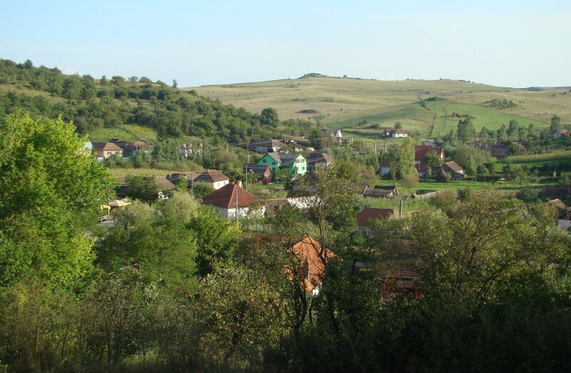 ملف:RO BN Tonciu (8).jpg