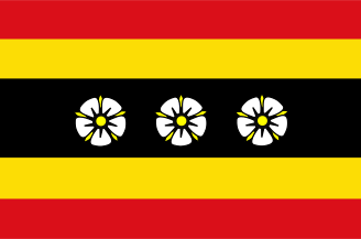 ملف:Ruinen vlag.svg