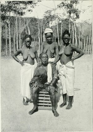 The Sherbro and its hinterland (1901) (14783305925).jpg