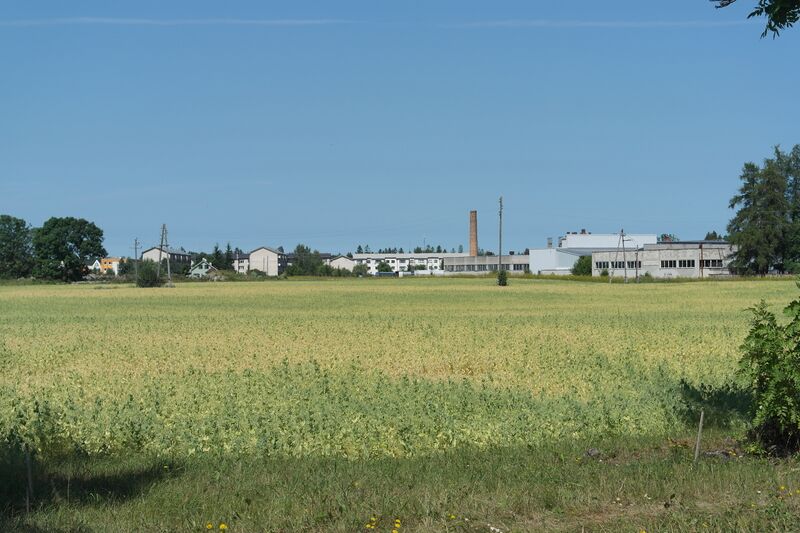 ملف:View to Aruküla.JPG