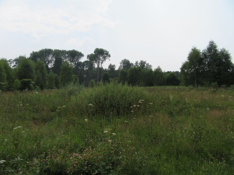 ملف:Кузово (Износковкий район).jpg