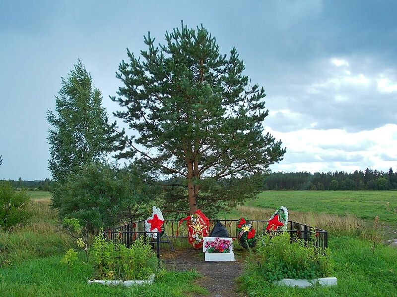 ملف:Памятник в д.Заозёрье.JPG