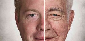 صورة للشباب والشيخوخة.jpg