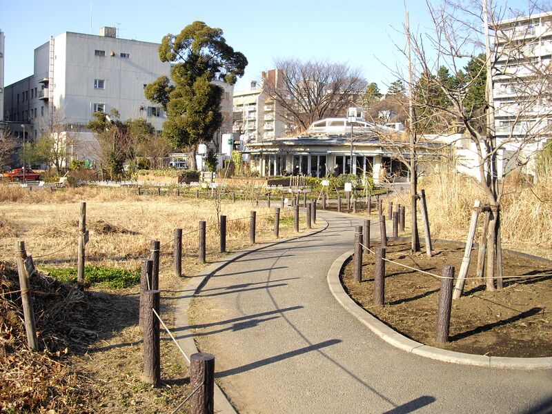 ملف:目黒区立中目黒公園 - panoramio.jpg