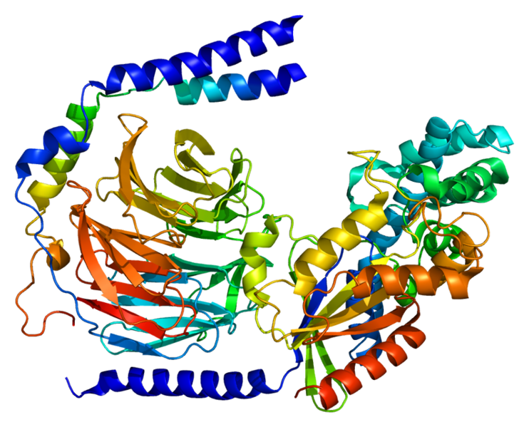 ملف:Protein GNG2 PDB 1gg2.png