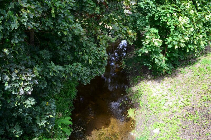 ملف:Aista Bartninkuose.JPG