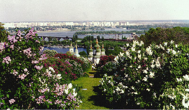 ملف:Kiev BotanicalGardens lilacs.jpg