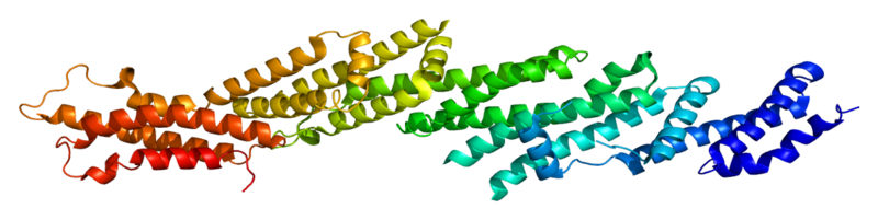 ملف:Protein EXOC7 PDB 2pft.png