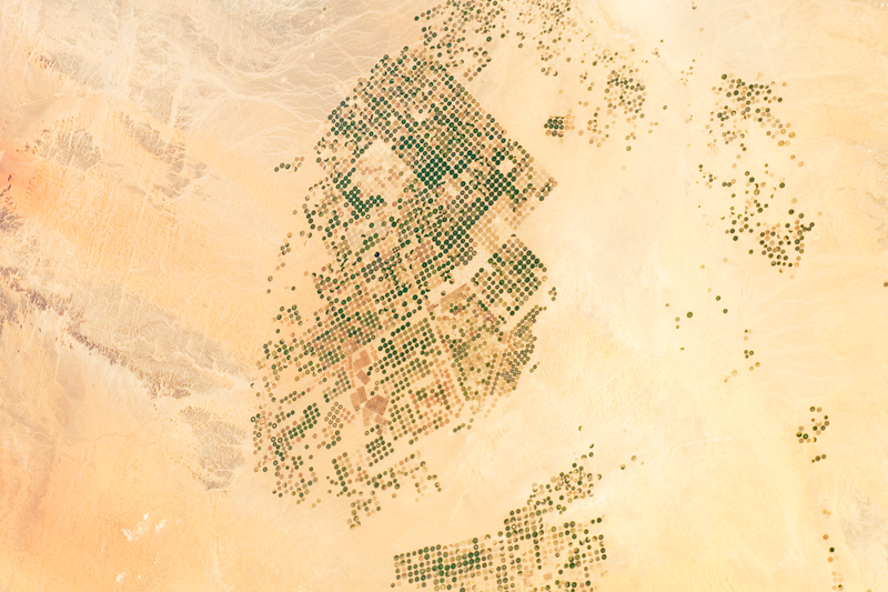 ملف:Saudi Arabian agricultural fields.png