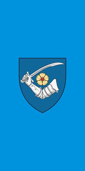 ملف:Flag of Fegyvernek.svg