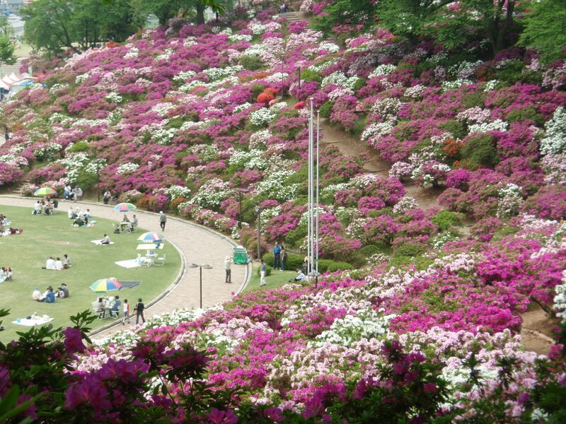 ملف:Nishiyama Park.JPG