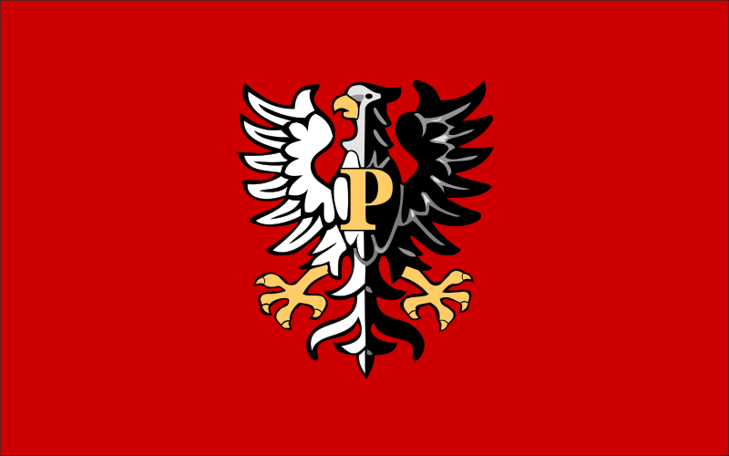 ملف:POL powiat płocki flag.svg