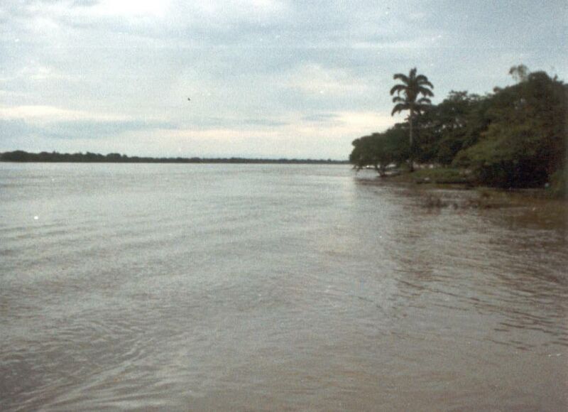 ملف:Río Apure 2.jpg