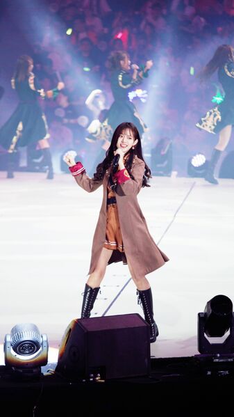 ملف:180728 总选姜杉实图 5P (2).jpg