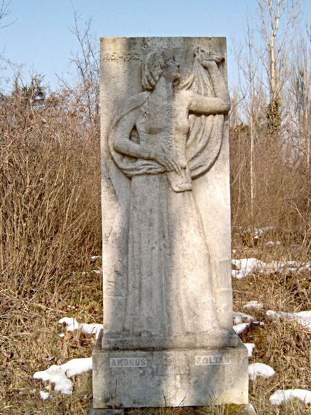 ملف:Ambrus Zoltán.jpg