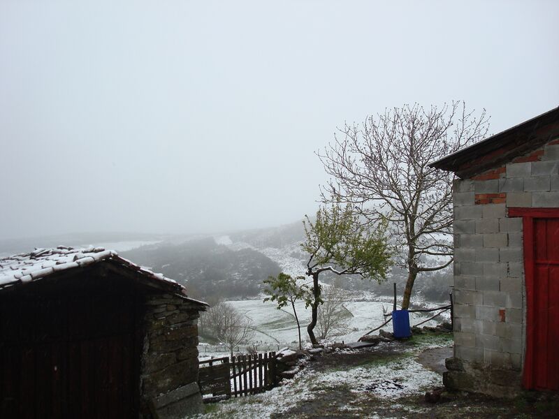 ملف:O Xunquedo nevado.jpg