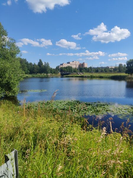 ملف:Летний вид, парк.jpg