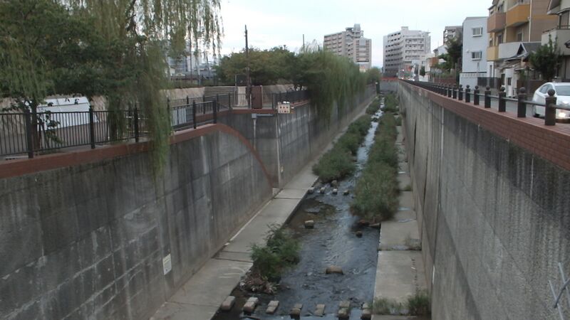 ملف:2020-09-19 Shinminatogawa,新湊川 兵庫県神戸市長田区五番町-六番町 DSCF0860.jpg