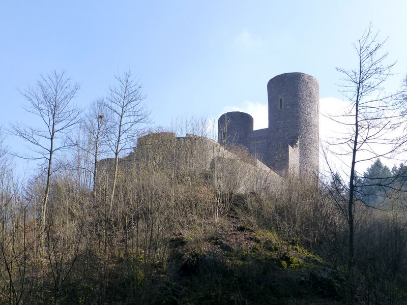 ملف:Burg Frauenburg-1.JPG