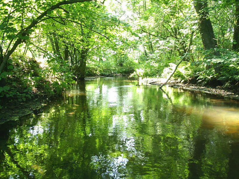 ملف:Plane river near Belzig.JPG