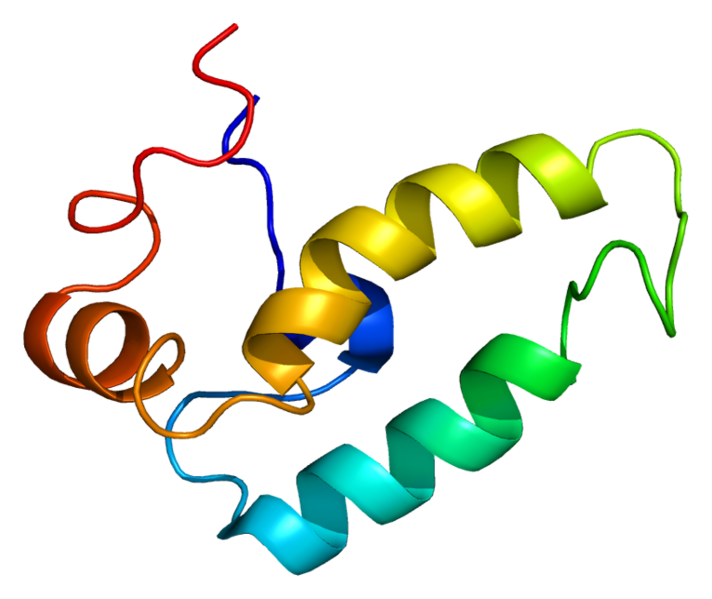 ملف:Protein DNAJB1 PDB 1hdj.png