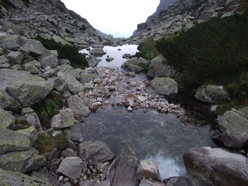 ملف:Staroleśny Potok a2.jpg