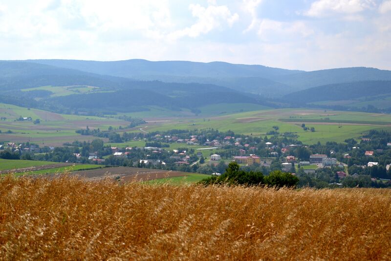 ملف:02014-08 Nowotaniec.JPG