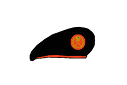 Airdefense general Beret - Egyptian Army.png