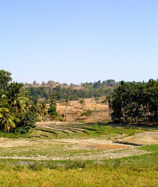 ملف:Baucau fields.jpg