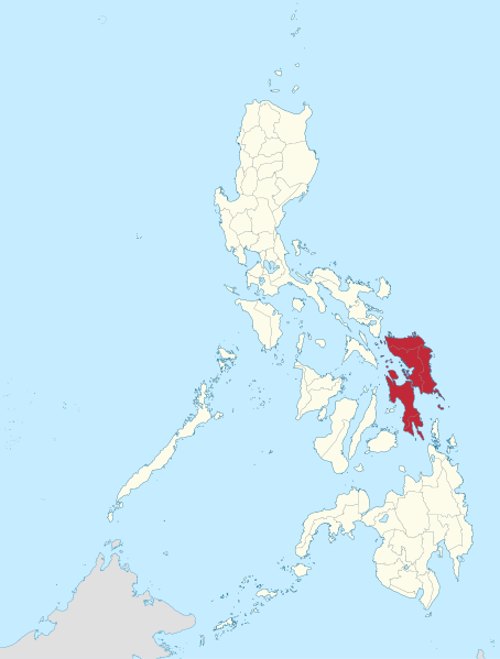 ملف:Eastern Visayas in Philippines.svg