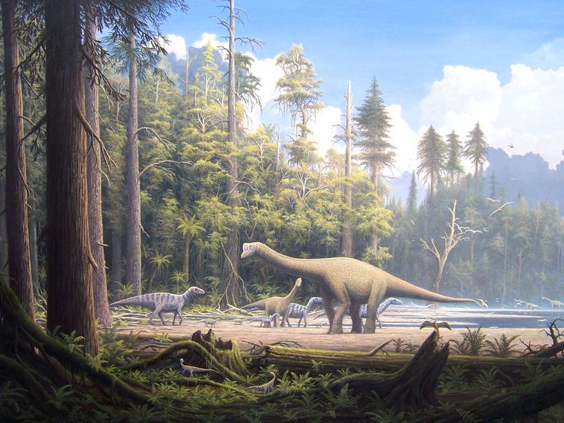 ملف:Europasaurus holgeri Scene 2.jpg