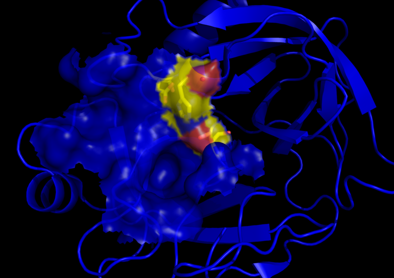 ملف:Trypsin active site.png
