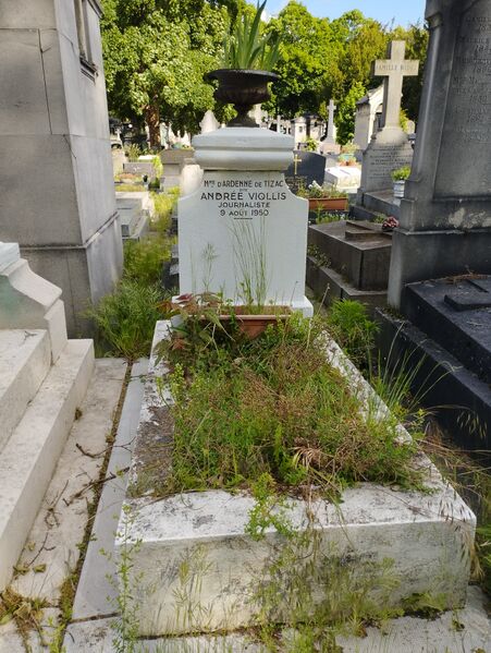 ملف:Andrée Viollis tombe.jpg