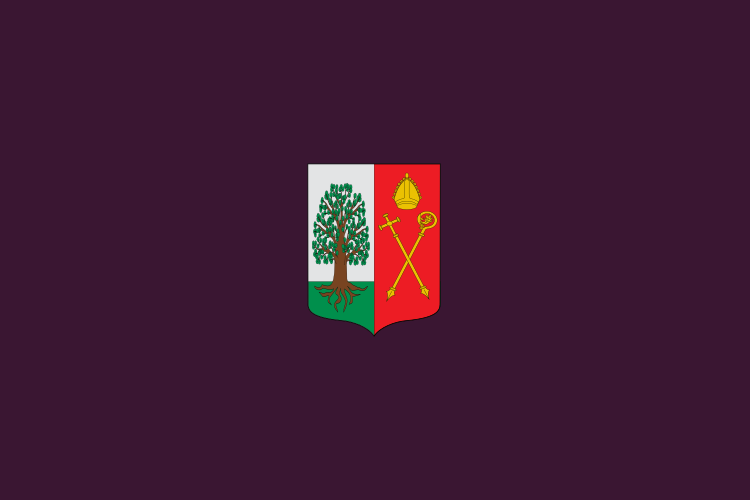 ملف:Bandera de Amoroto.svg