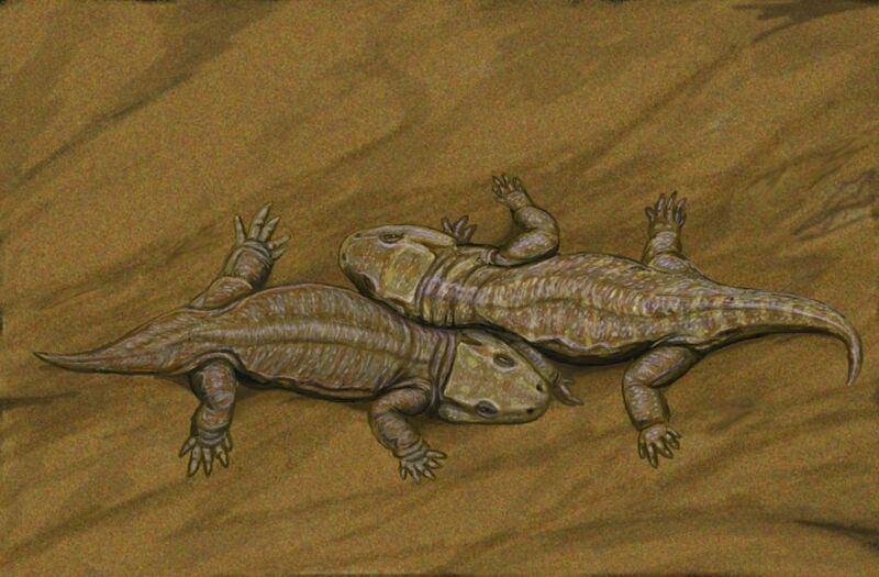 ملف:Bromacker2 copy.jpg