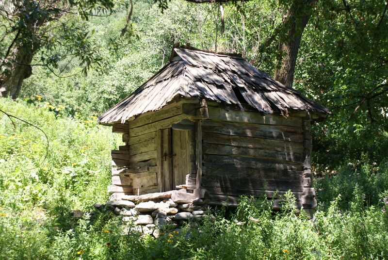 ملف:Moara Camana.JPG