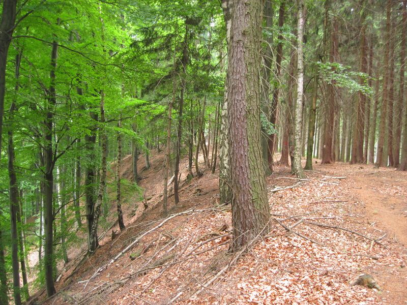 ملف:PR Rohová (96).jpg