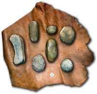 Percutores blandos.jpg