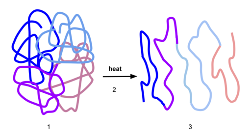 ملف:Process of Denaturation.svg