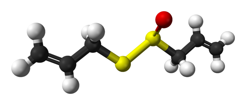 ملف:R-allicin-3D-balls.png