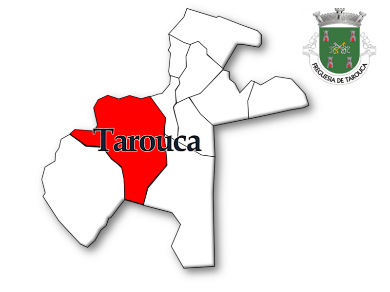 ملف:Tarouca 19.PNG