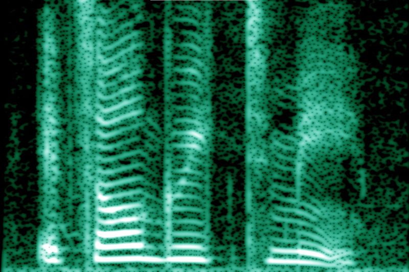 ملف:Human voice spectrogram.jpg
